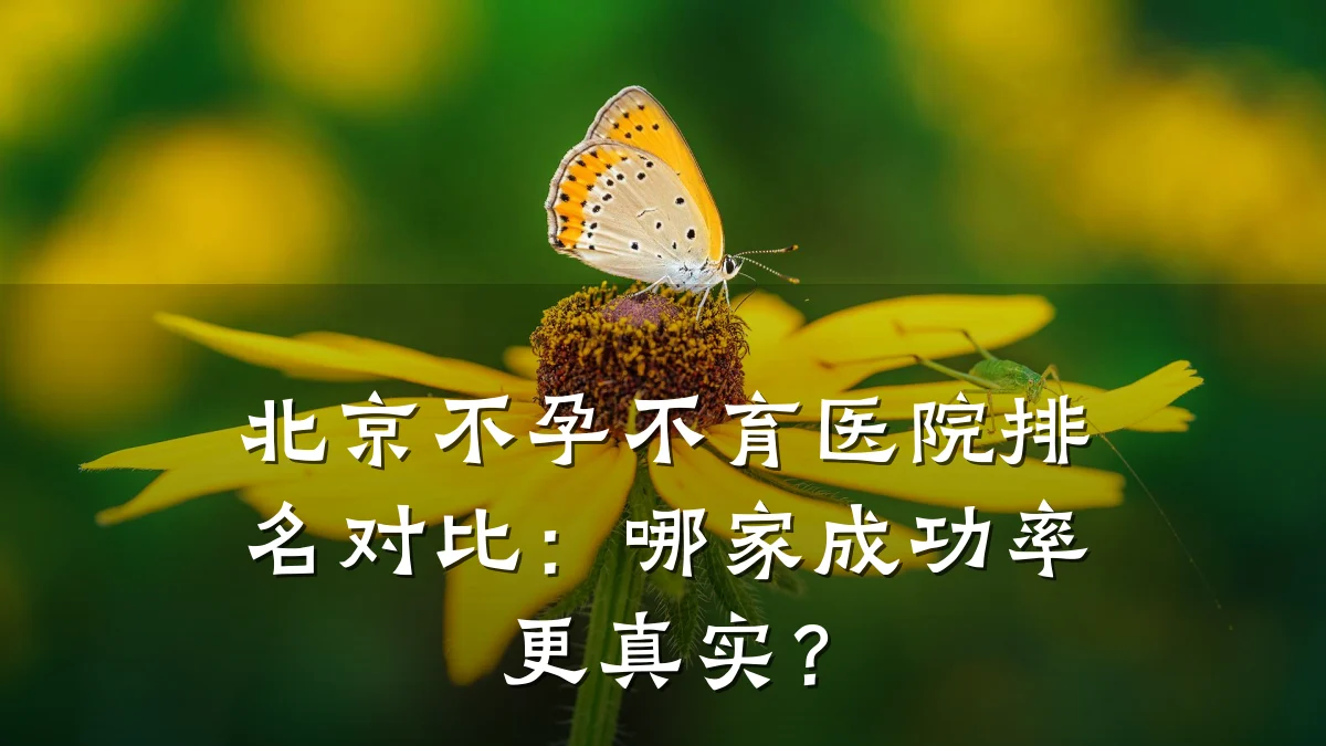 北京不孕不育医院排名对比:哪家成功率更真实?
