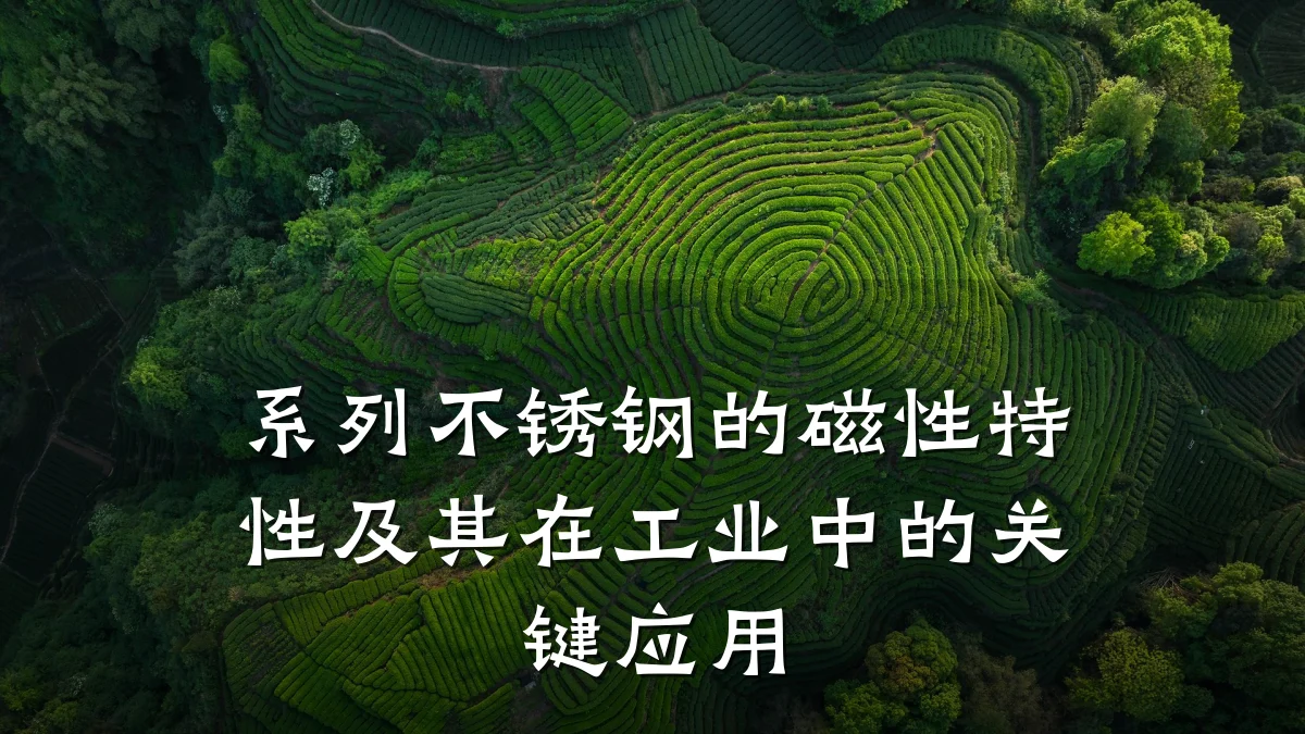 系列不锈钢的磁性特性及其在工业中的关键应用