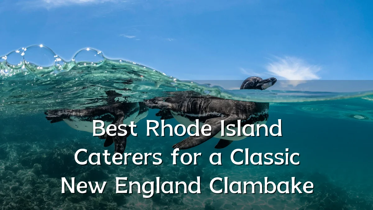 Best Rhode Island Caterers for a Classic New England Clambake