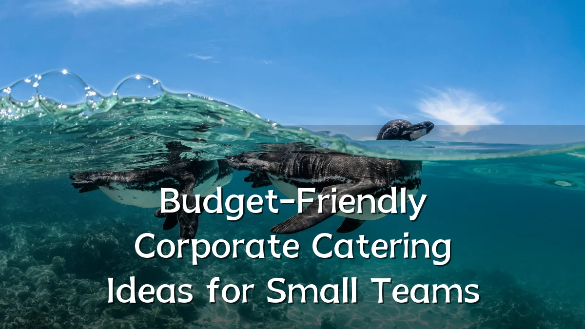 Budget-Friendly Corporate Catering Ideas for Small Teams