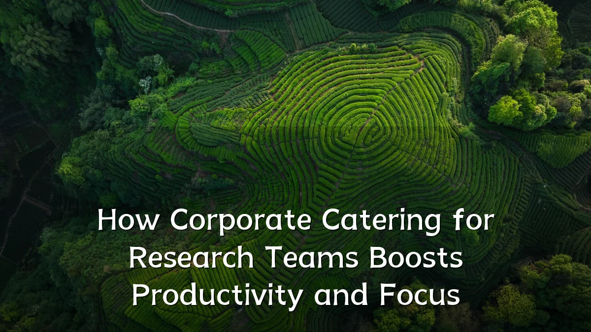 How Corporate Catering for Research Teams Boosts Productivity and Focus