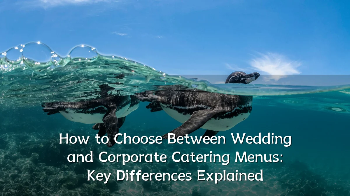 How to Choose Between Wedding and Corporate Catering Menus: Key Differences Explained