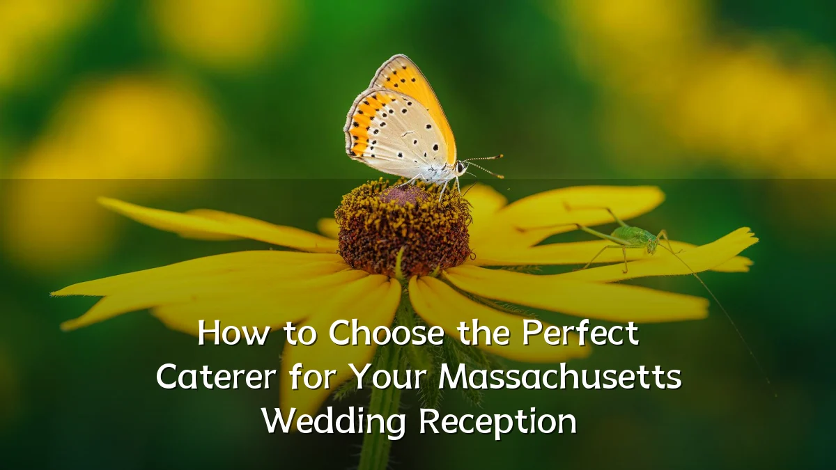 How to Choose the Perfect Caterer for Your Massachusetts Wedding Reception