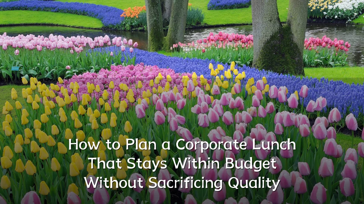 How to Plan a Corporate Lunch That Stays Within Budget Without Sacrificing Quality