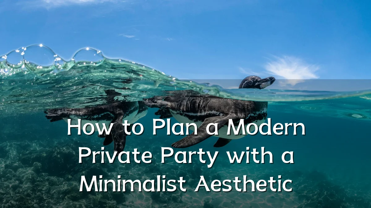 How to Plan a Modern Private Party with a Minimalist Aesthetic