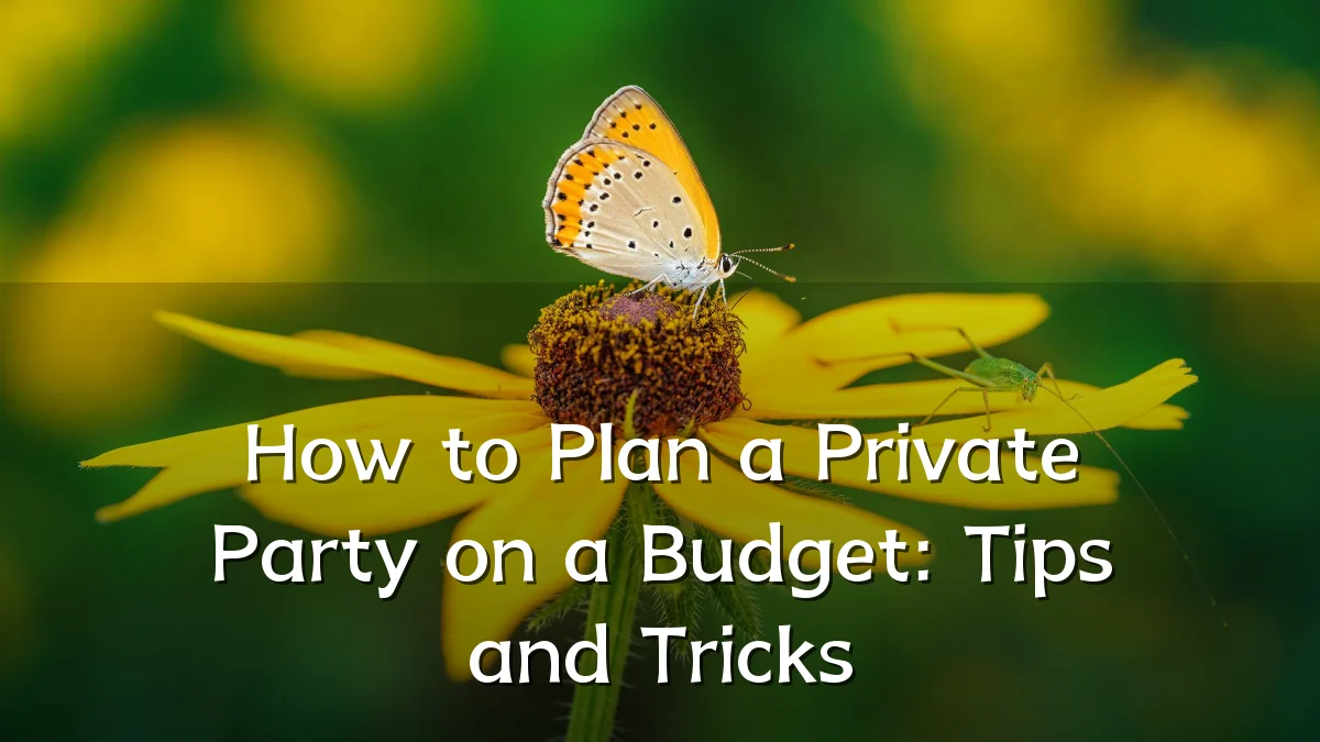 How to Plan a Private Party on a Budget: Tips and Tricks