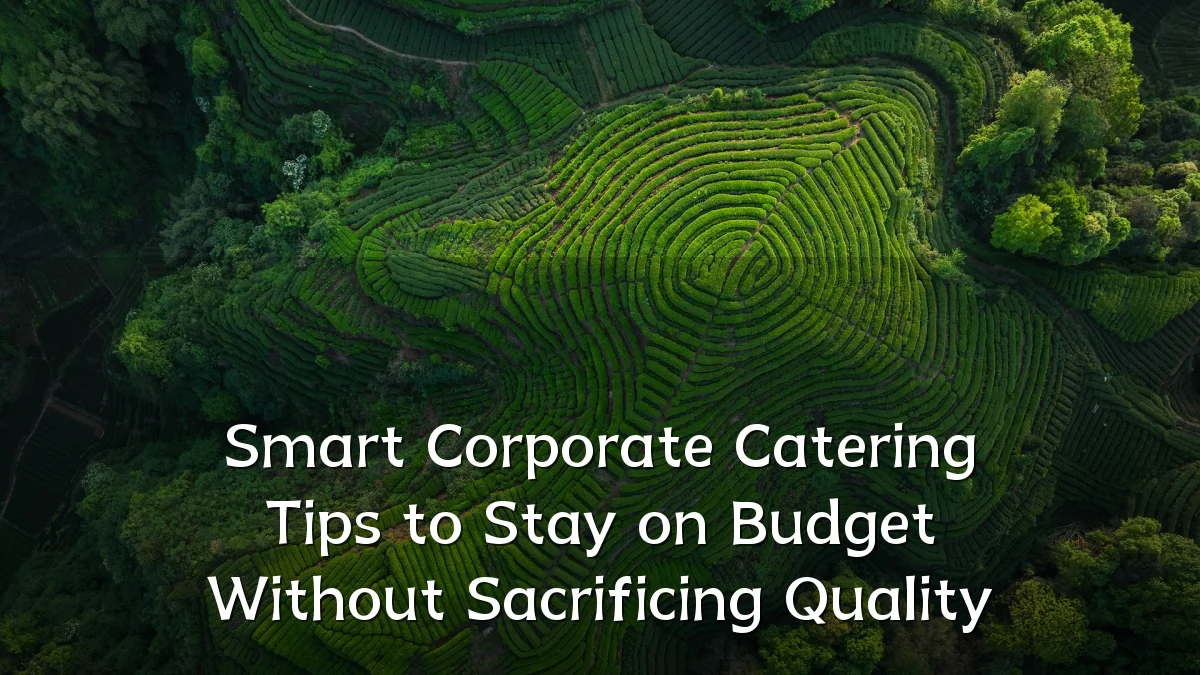 Smart Corporate Catering Tips to Stay on Budget Without Sacrificing Quality
