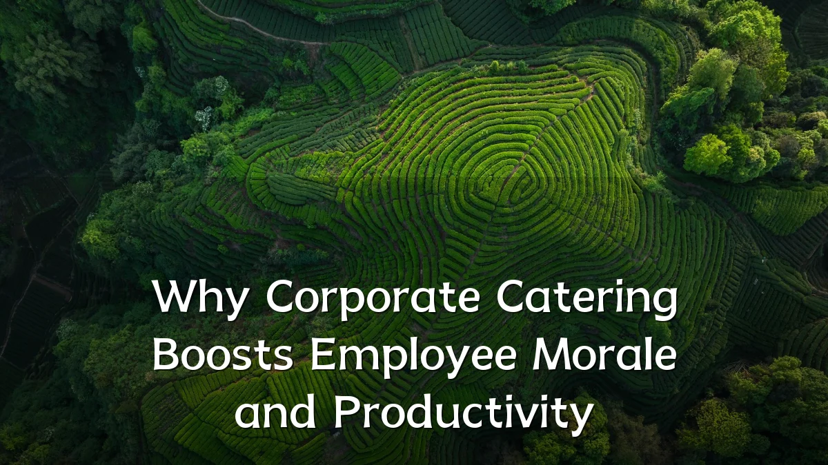 Why Corporate Catering Boosts Employee Morale and Productivity
