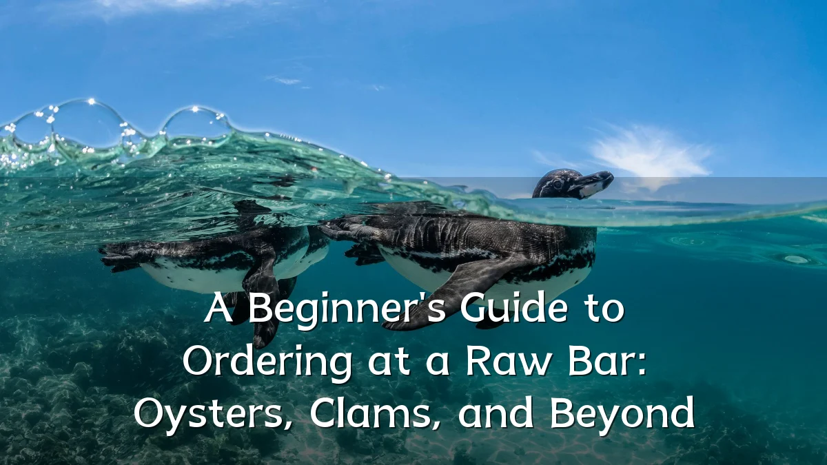 A Beginner's Guide to Ordering at a Raw Bar: Oysters, Clams, and Beyond