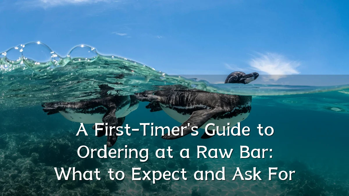 A First-Timer's Guide to Ordering at a Raw Bar: What to Expect and Ask For