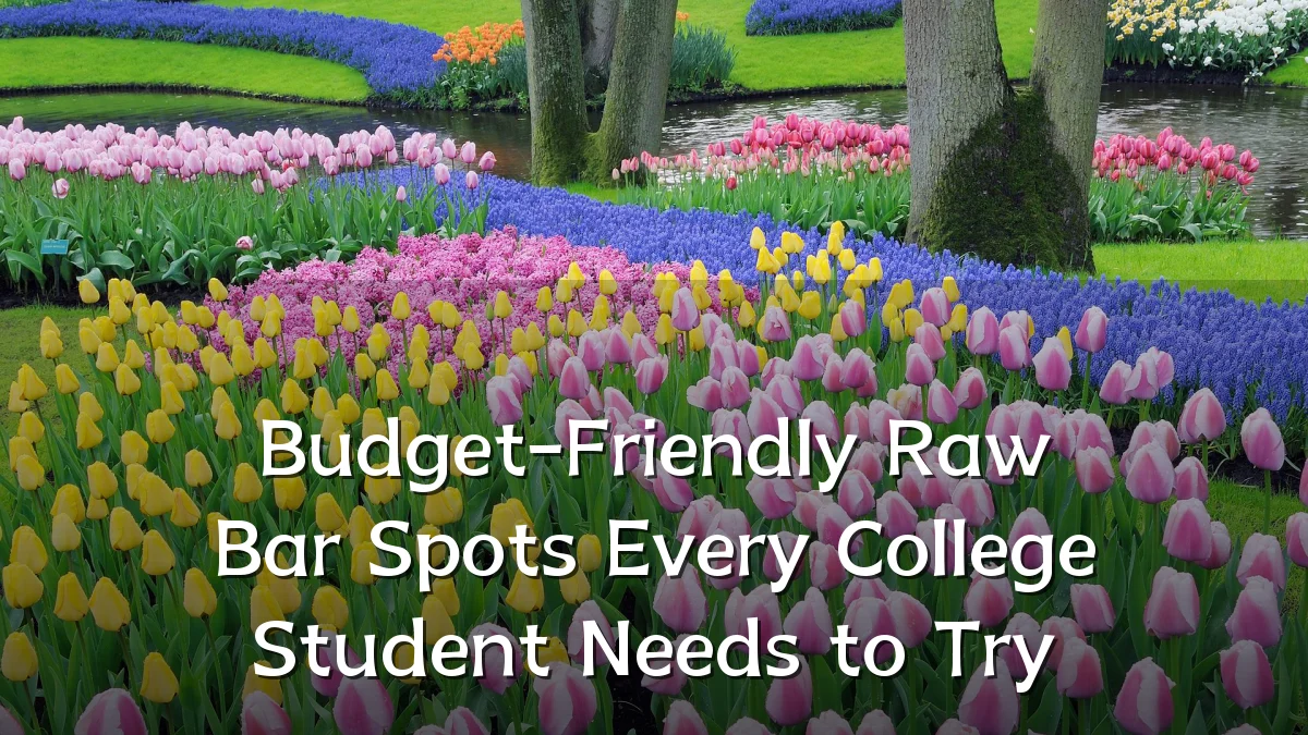 Budget-Friendly Raw Bar Spots Every College Student Needs to Try