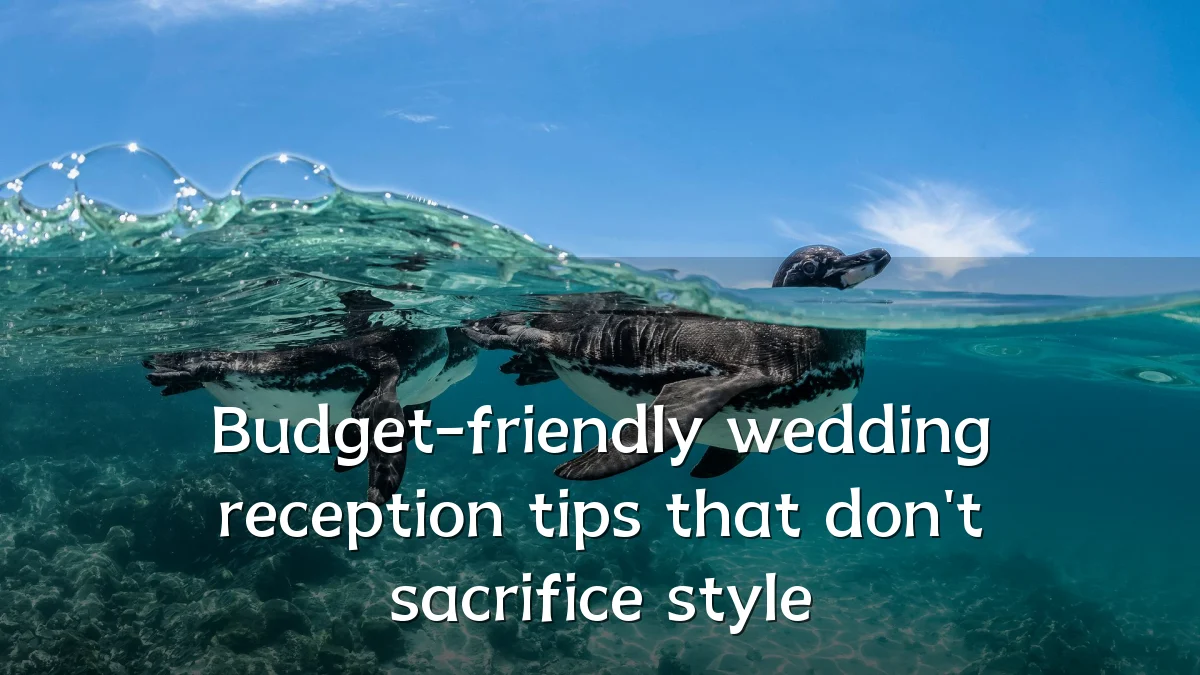 Budget-friendly wedding reception tips that don't sacrifice style
