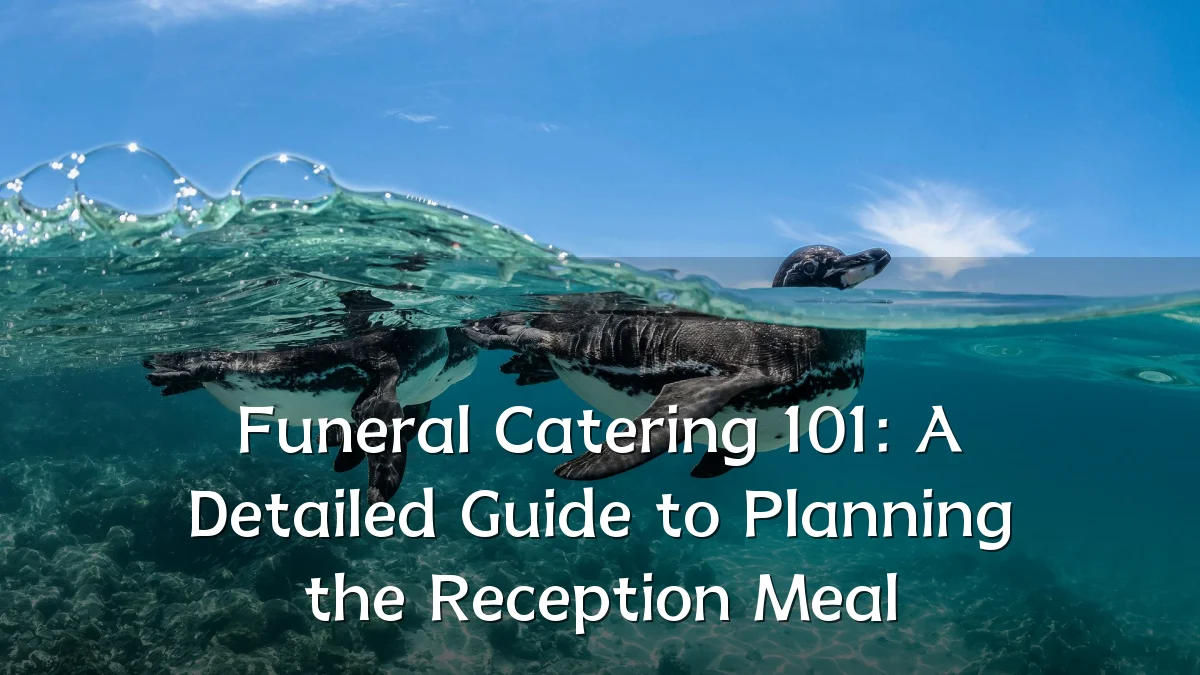 Funeral Catering 101: A Detailed Guide to Planning the Reception Meal