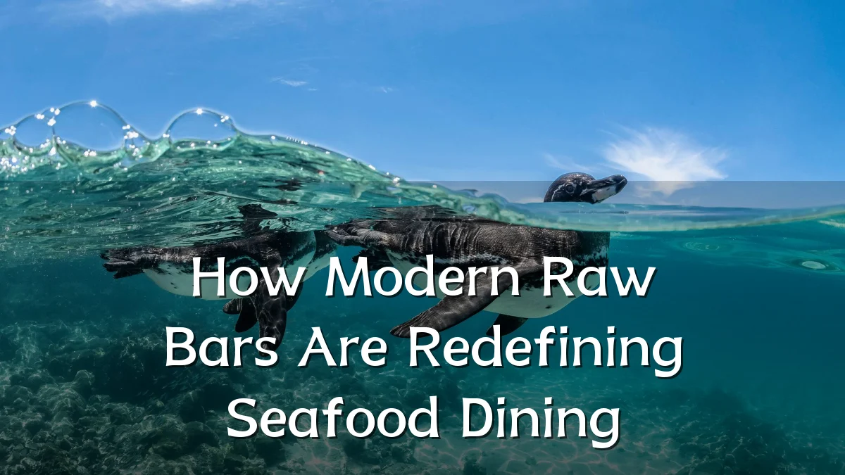 How Modern Raw Bars Are Redefining Seafood Dining