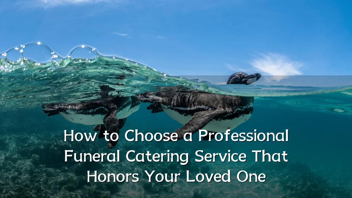 How to Choose a Professional Funeral Catering Service That Honors Your Loved One