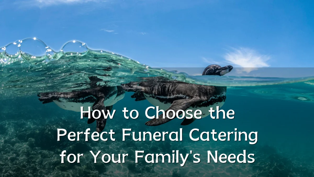 How to Choose the Perfect Funeral Catering for Your Family's Needs