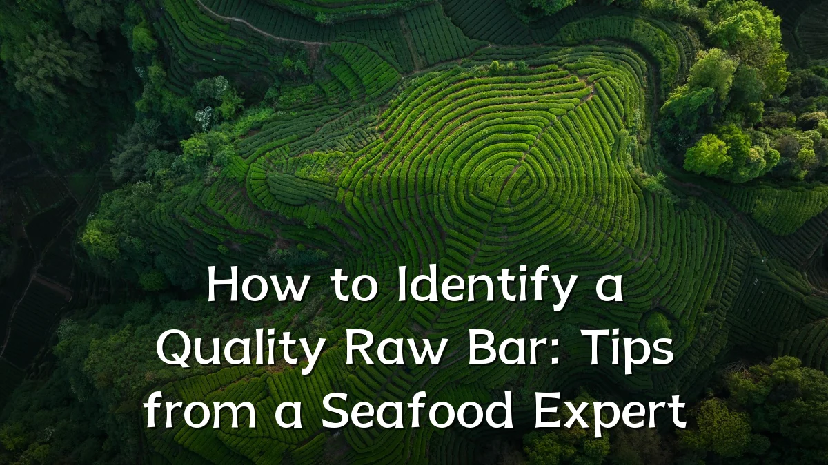 How to Identify a Quality Raw Bar: Tips from a Seafood Expert