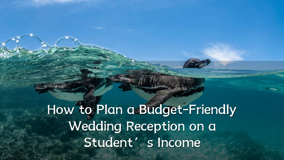 How to Plan a Budget-Friendly Wedding Reception on a Student’s Income