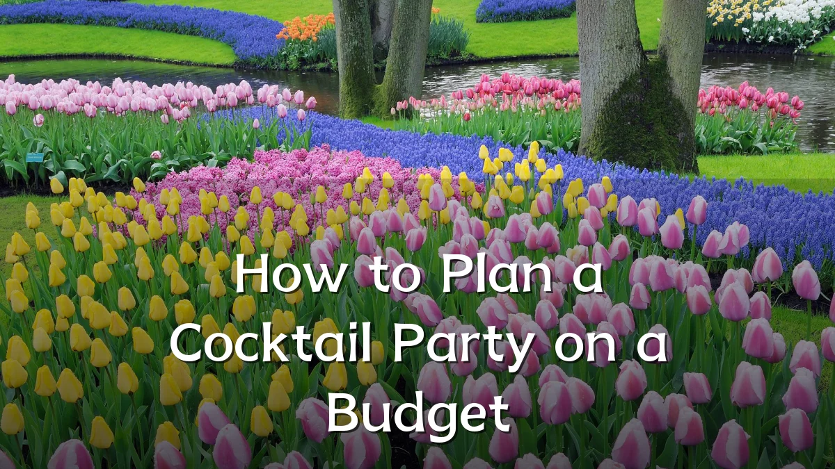 How to Plan a Cocktail Party on a Budget