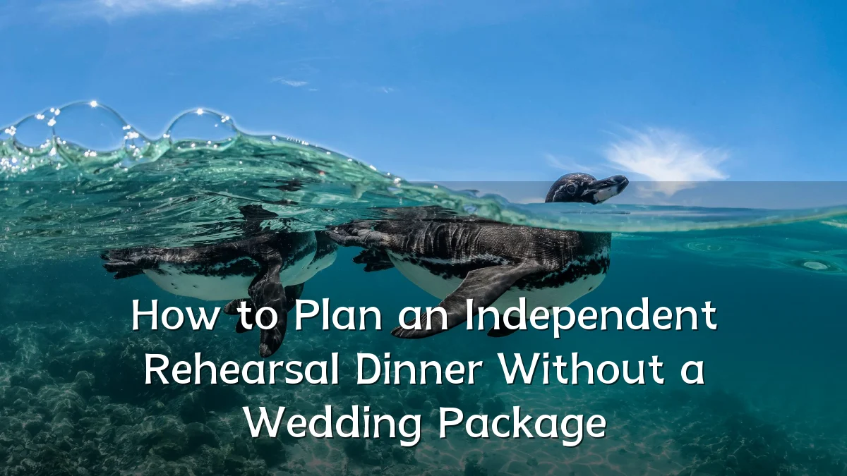 How to Plan an Independent Rehearsal Dinner Without a Wedding Package