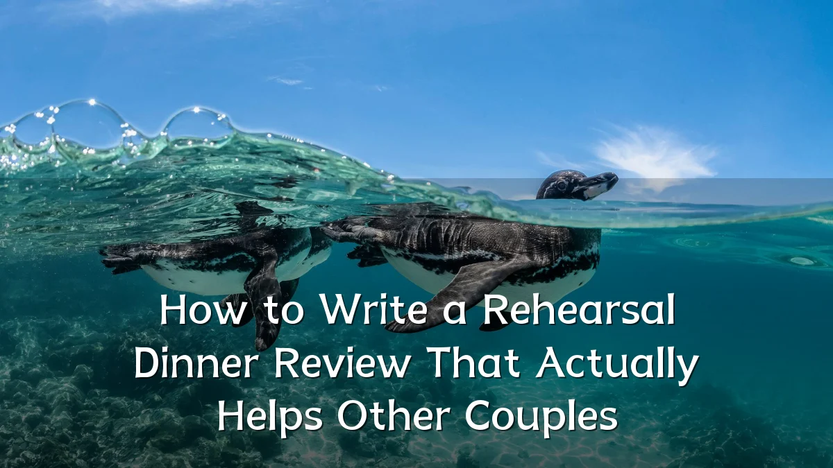 How to Write a Rehearsal Dinner Review That Actually Helps Other Couples