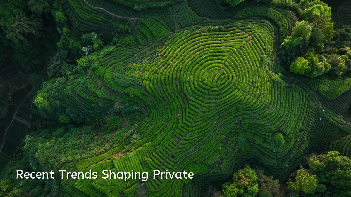 Recent Trends Shaping Private
