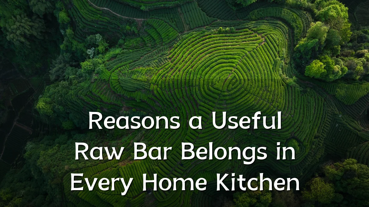 Reasons a Useful Raw Bar Belongs in Every Home Kitchen