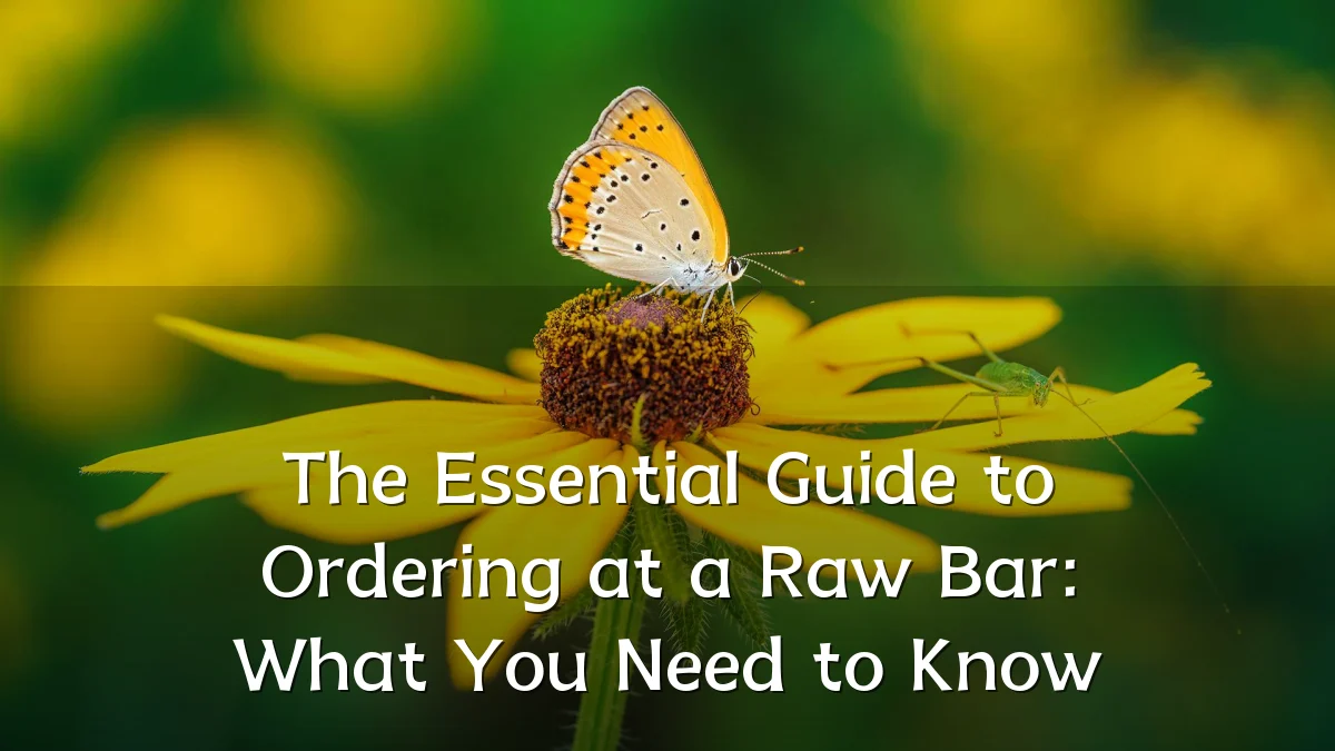 The Essential Guide to Ordering at a Raw Bar: What You Need to Know