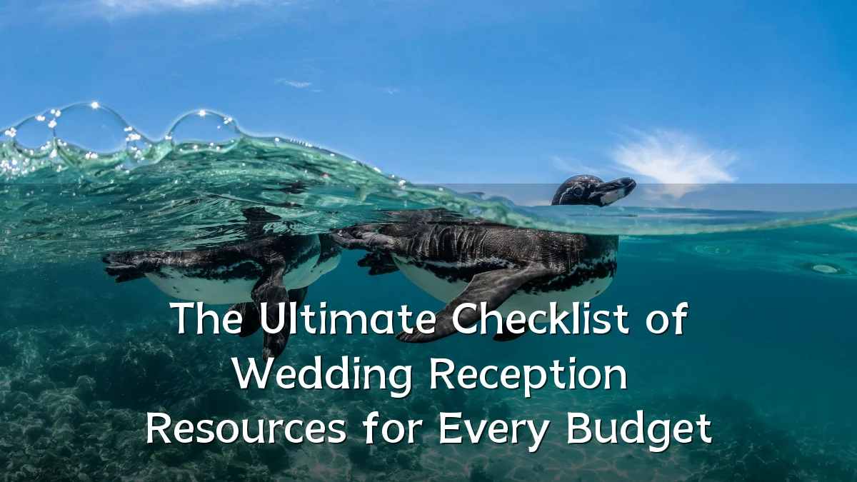 The Ultimate Checklist of Wedding Reception Resources for Every Budget
