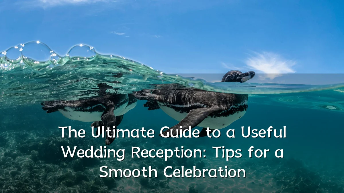 The Ultimate Guide to a Useful Wedding Reception: Tips for a Smooth Celebration