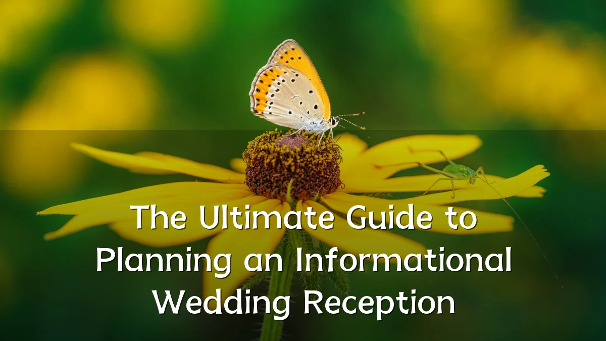 The Ultimate Guide to Planning an Informational Wedding Reception