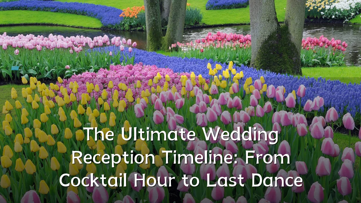 The Ultimate Wedding Reception Timeline: From Cocktail Hour to Last Dance
