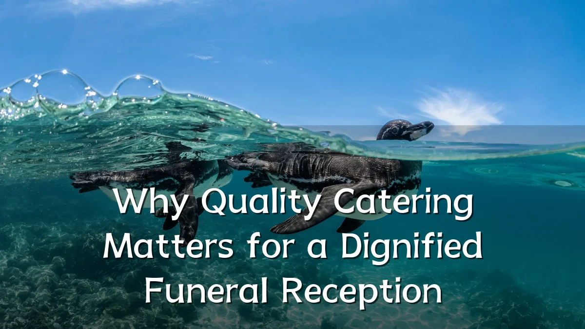 Why Quality Catering Matters for a Dignified Funeral Reception