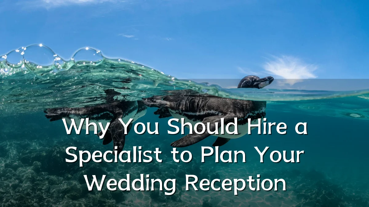 Why You Should Hire a Specialist to Plan Your Wedding Reception