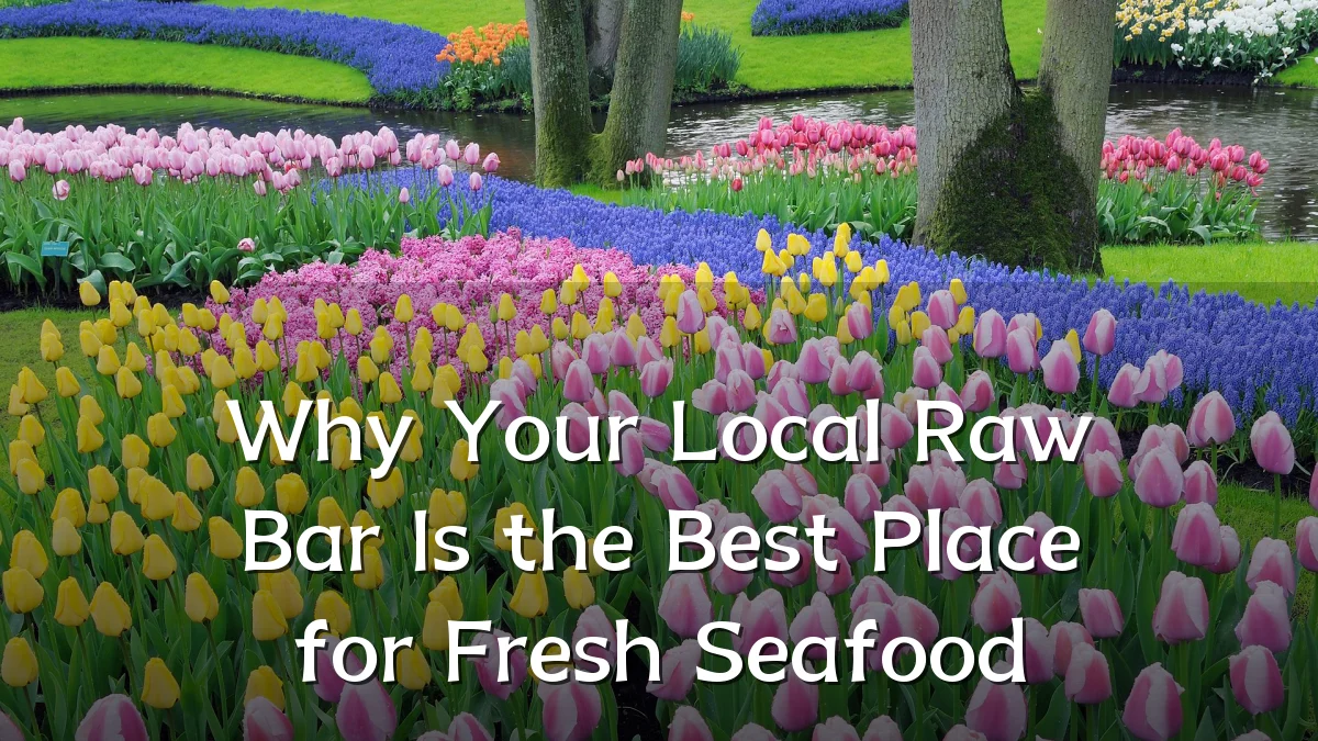 Why Your Local Raw Bar Is the Best Place for Fresh Seafood