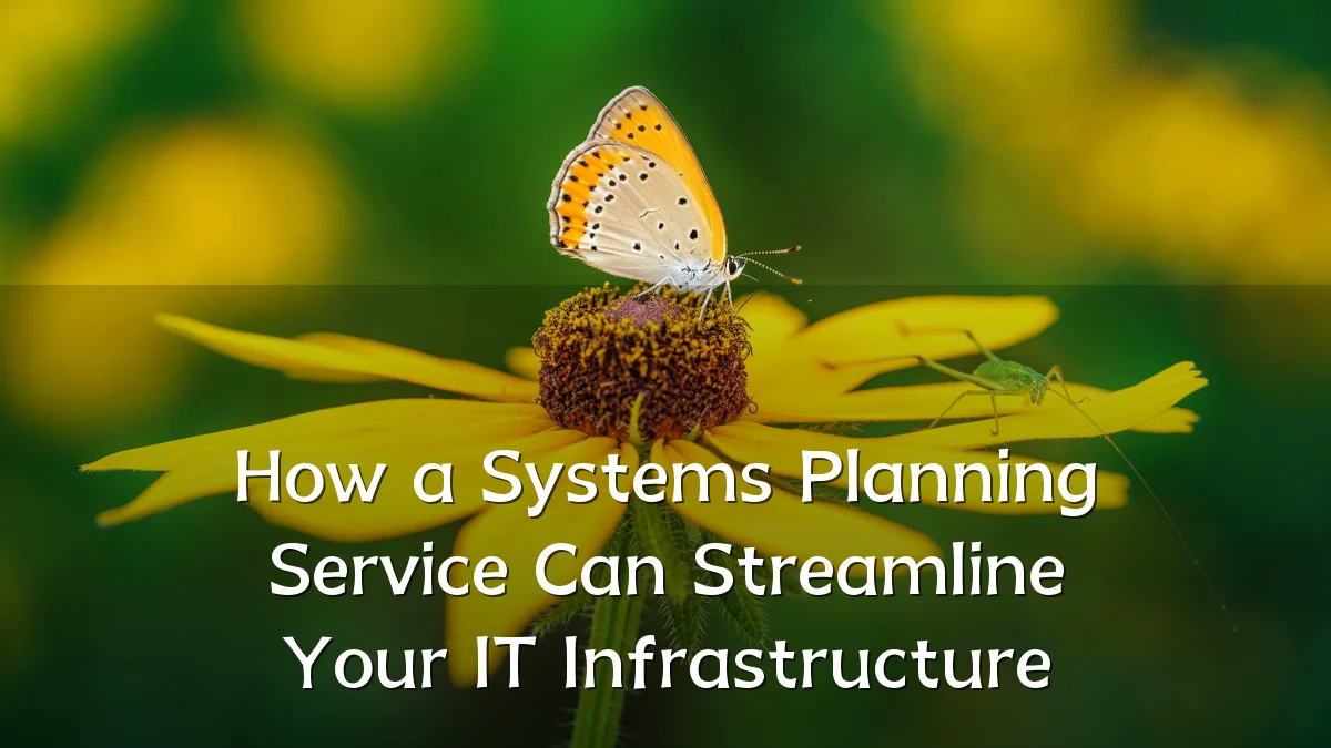How a Systems Planning Service Can Streamline Your IT Infrastructure