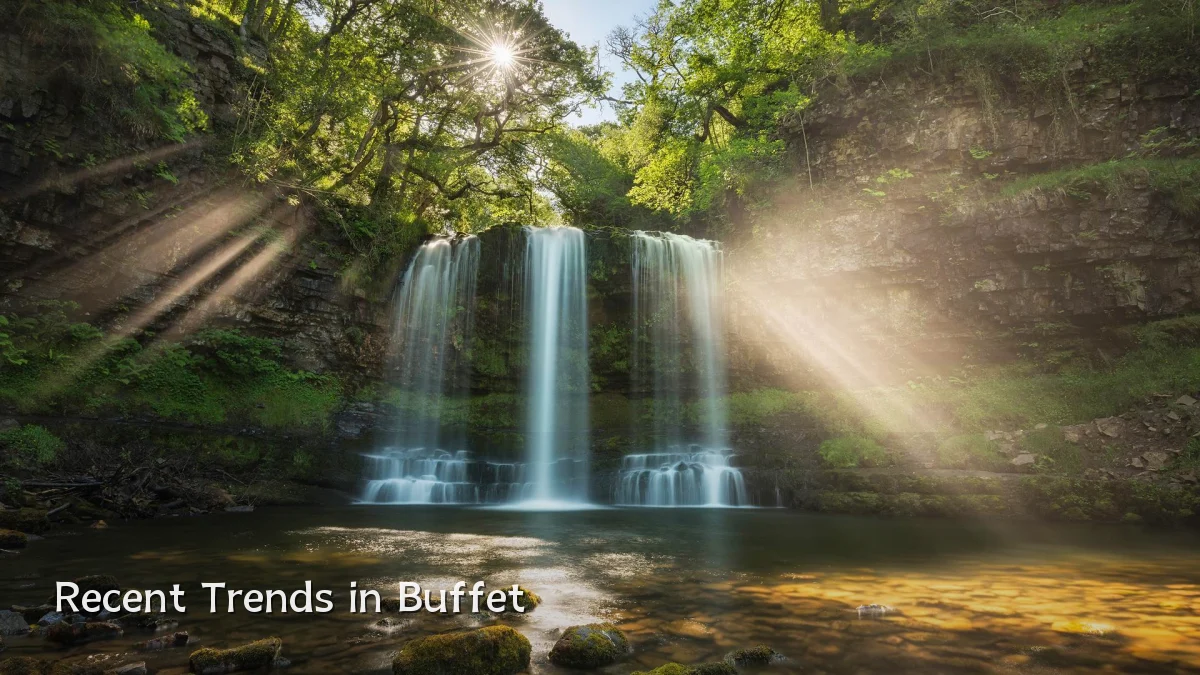 Recent Trends in Buffet