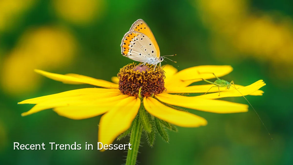 Recent Trends in Dessert