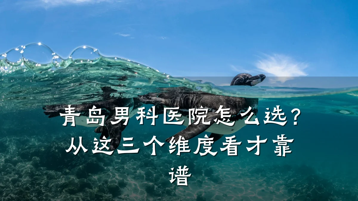 青岛男科医院怎么选？从这三个维度看才靠谱