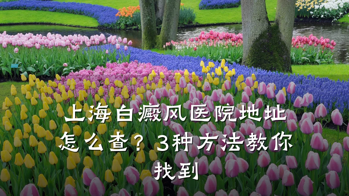上海白癜风医院地址怎么查？3种方法教你找到