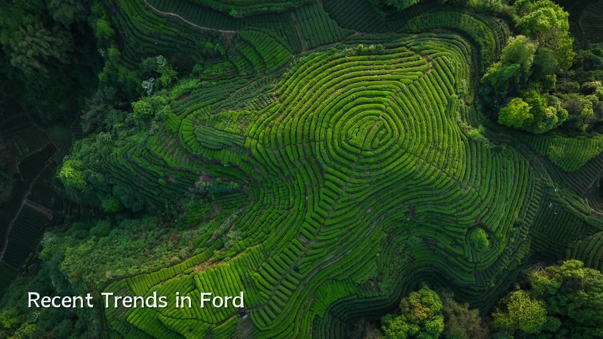Recent Trends in Ford