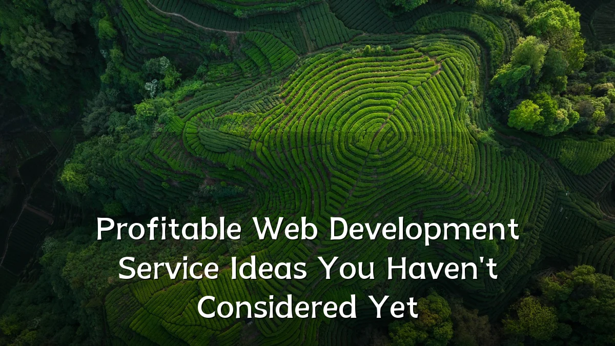 Profitable Web Development Service Ideas You Haven't Considered Yet
